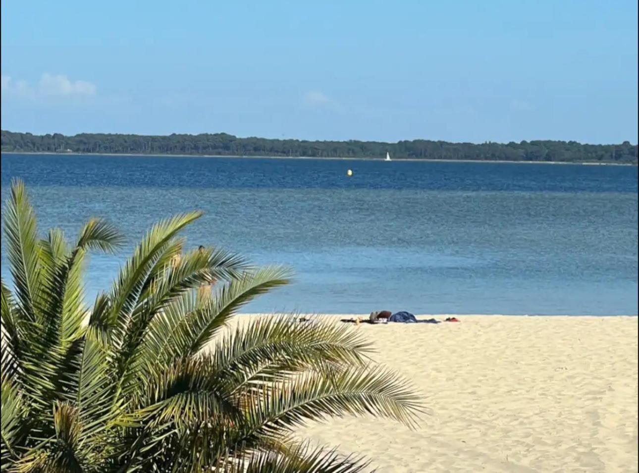 Chalet Et Jaccuzy Sur La Plage Biscarrosse Exteriér fotografie